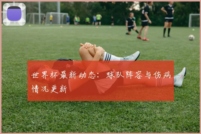 世界杯最新动态：球队阵容与伤病情况更新