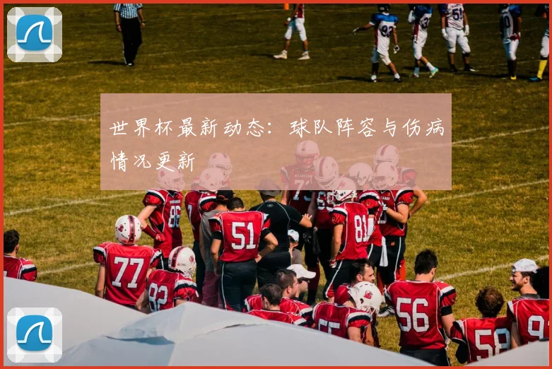 世界杯最新动态：球队阵容与伤病情况更新