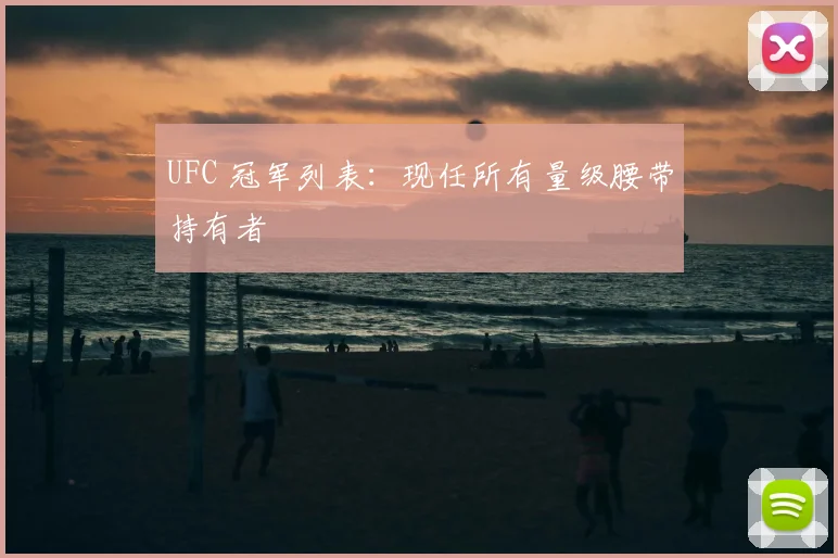 UFC 冠军列表:现任所有量级腰带持有者