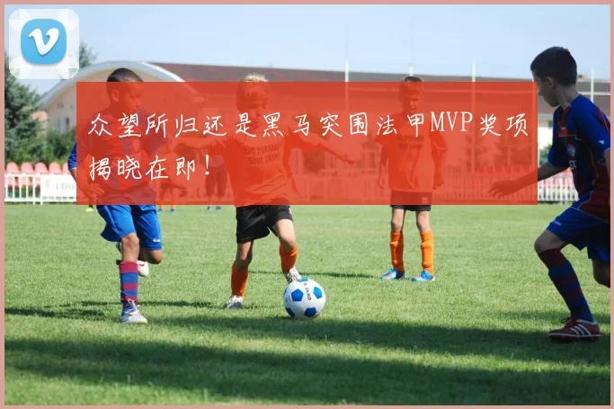 众望所归还是黑马突围法甲MVP奖项揭晓在即！